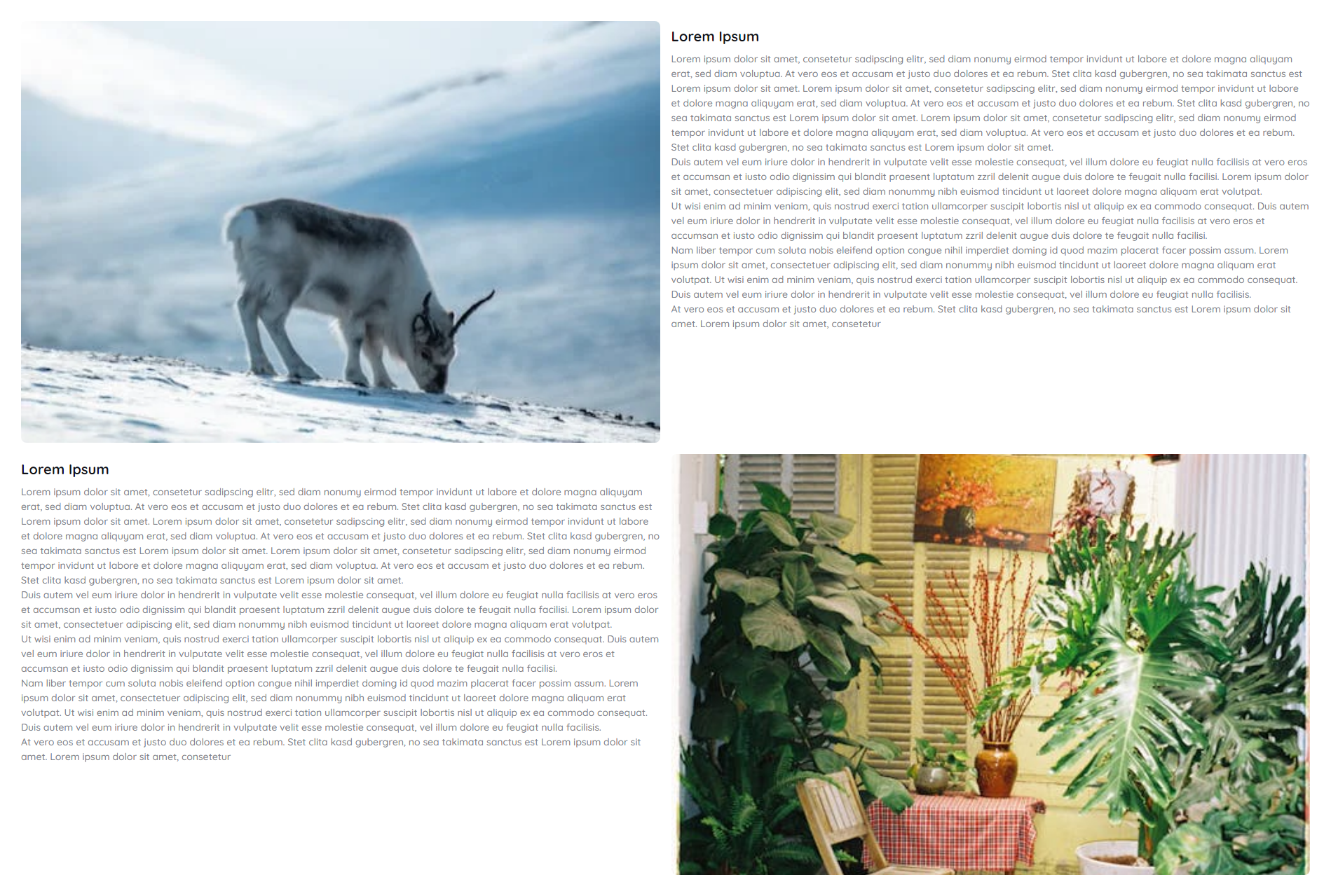 yContainer Layouting